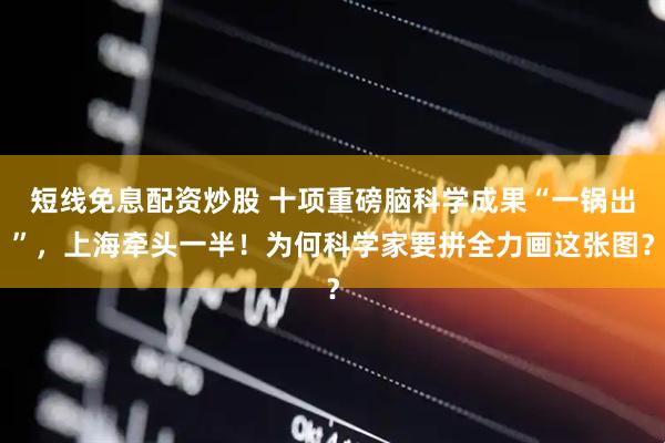 短线免息配资炒股 十项重磅脑科学成果“一锅出”，上海牵头一半！为何科学家要拼全力画这张图？