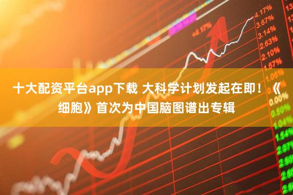 十大配资平台app下载 大科学计划发起在即！《细胞》首次为中国脑图谱出专辑