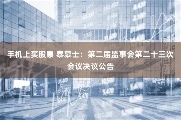 手机上买股票 泰慕士：第二届监事会第二十三次会议决议公告