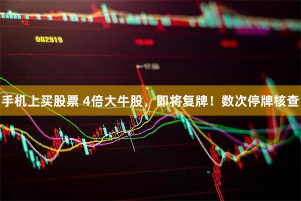 手机上买股票 4倍大牛股，即将复牌！数次停牌核查