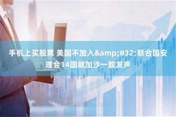 手机上买股票 美国不加入&#32;联合国安理会14国就加沙一致发声