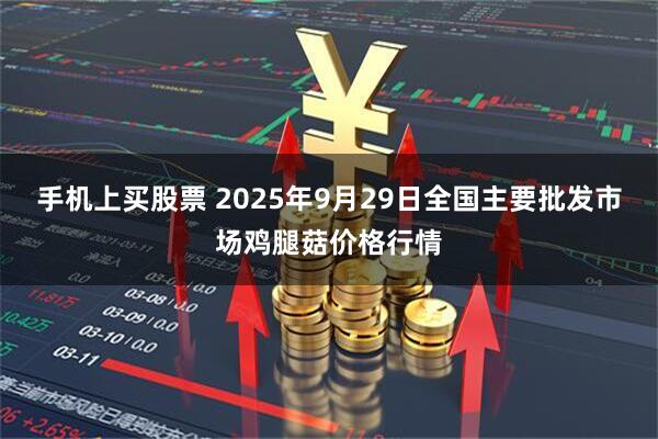 手机上买股票 2025年9月29日全国主要批发市场鸡腿菇价格行情