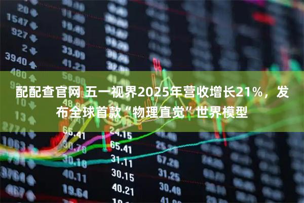 配配查官网 五一视界2025年营收增长21%，发布全球首款“物理直觉”世界模型