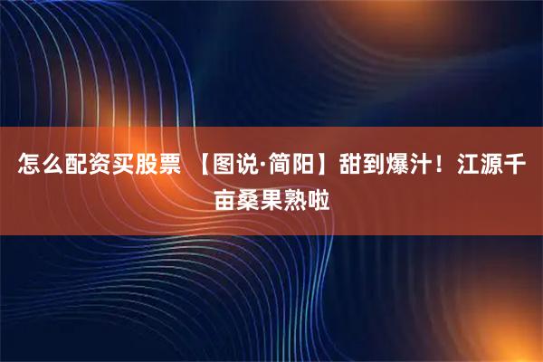 怎么配资买股票 【图说·简阳】甜到爆汁！江源千亩桑果熟啦
